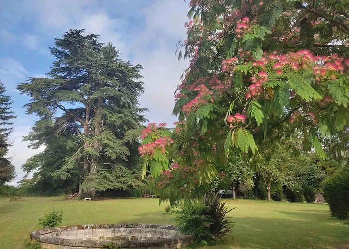 Domaine De Champ Rose + Piscine Chauffée, Couverte Сasa de vacaciones Saint-Laurent-de-Belzagot